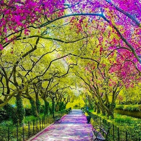 Meet your Posher, Asa.s - Picture 1 of 1